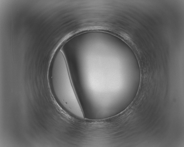 X0000054361181200507290757