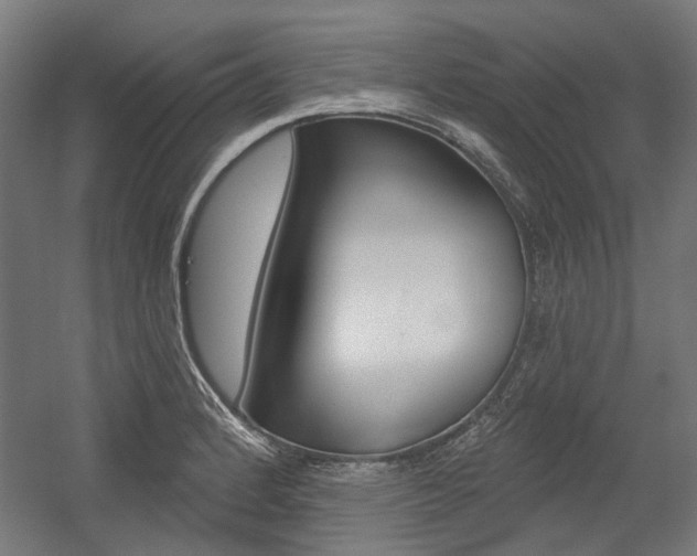 X0000054361184200507290757