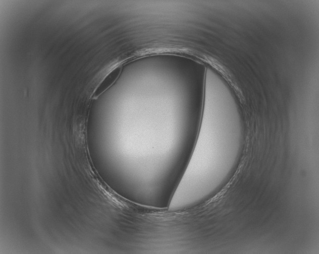 X0000054361185200507290757