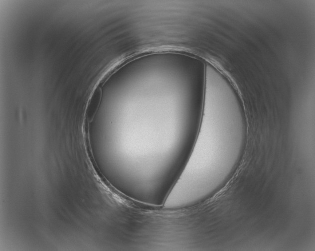 X0000054361189200507290757