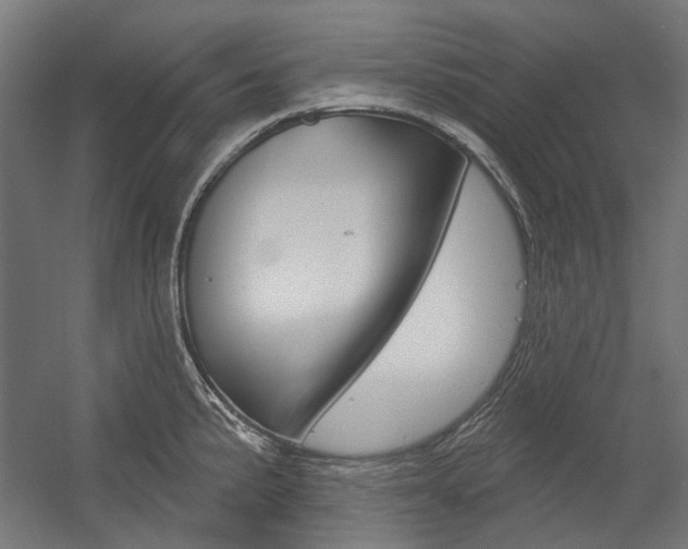 X0000054361191200507290757