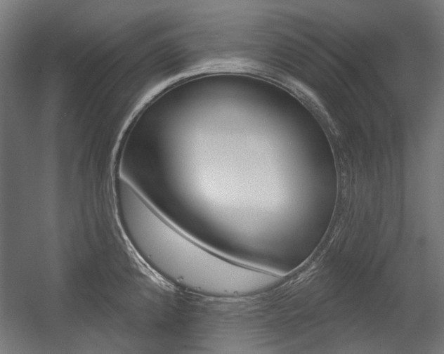 X0000054361192200507290757
