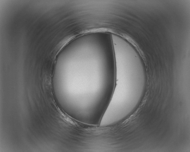 X0000054361193200507290757