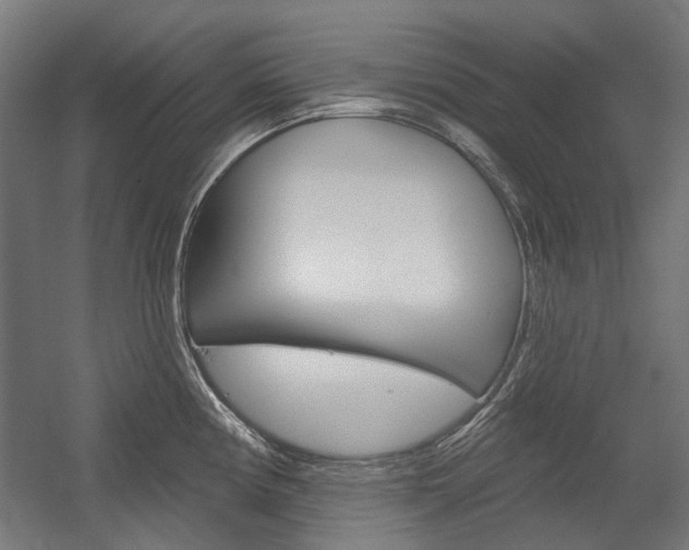 X0000054361194200507290757