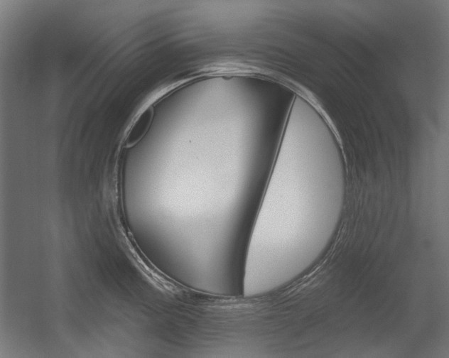 X0000054361195200507290757