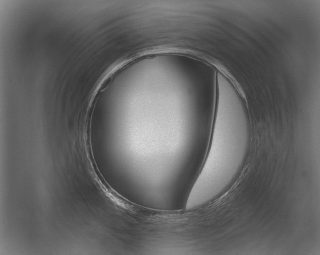 X0000054361197200507290757