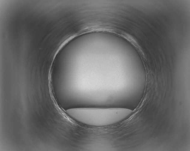 X0000054361198200507290757
