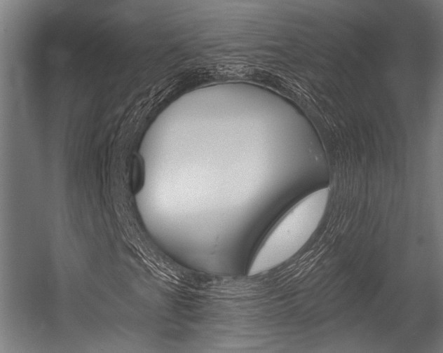 X0000054361201200507290756
