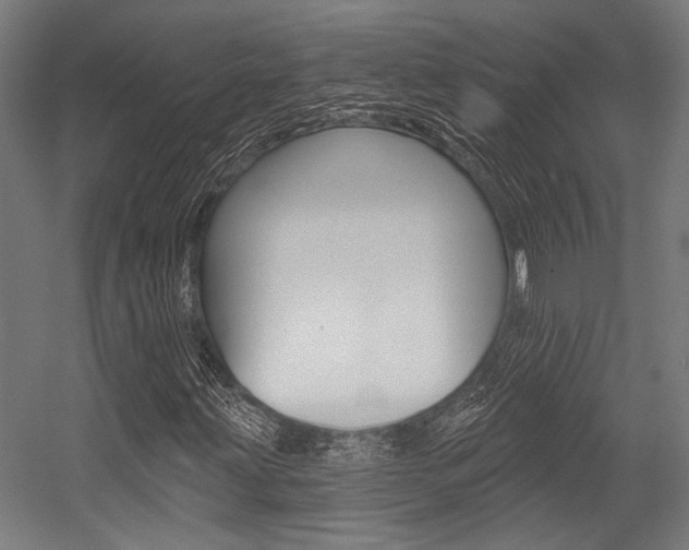 X0000054361203200507290756
