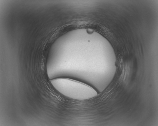 X0000054361204200507290756