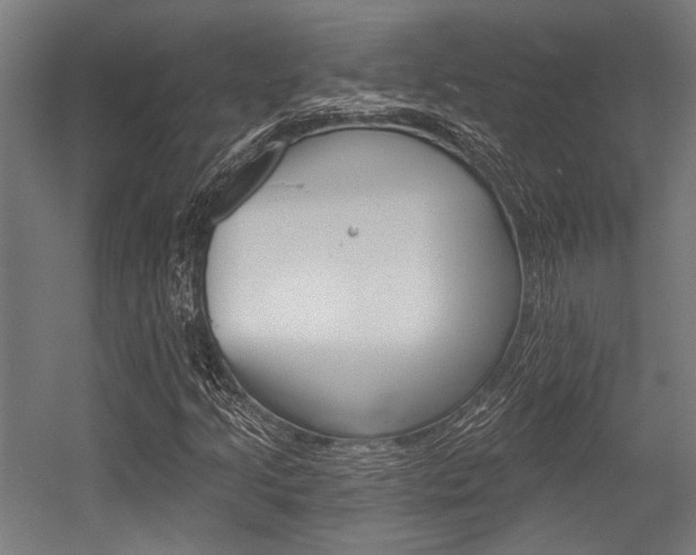 X0000054361205200507290756