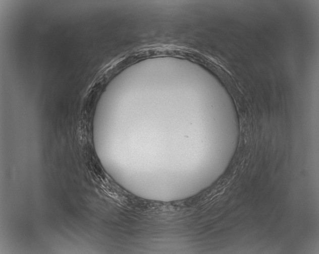 X0000054361207200507290756