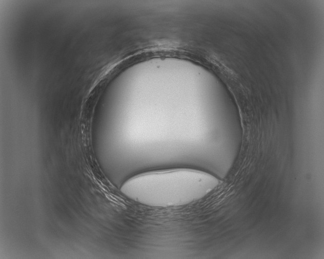 X0000054361208200507290756