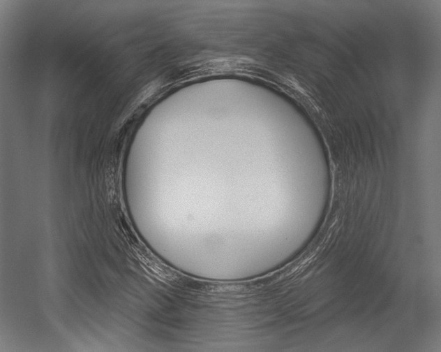 X0000054361211200507290756