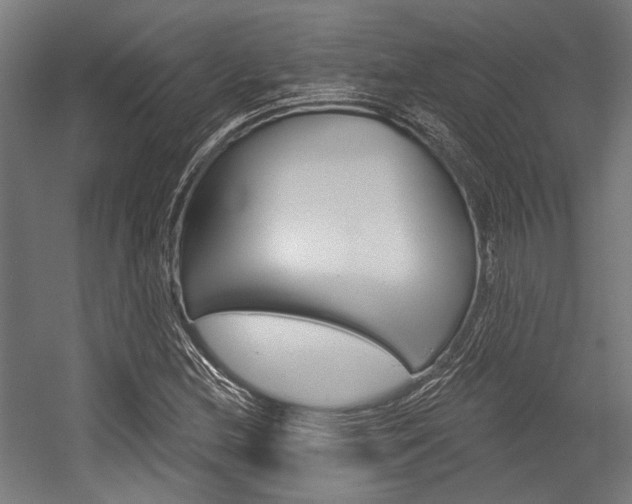 X0000054361212200507290756