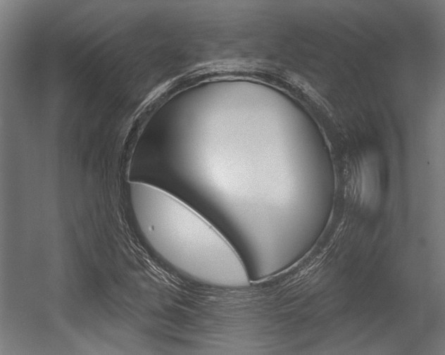 X0000054361213200507290756