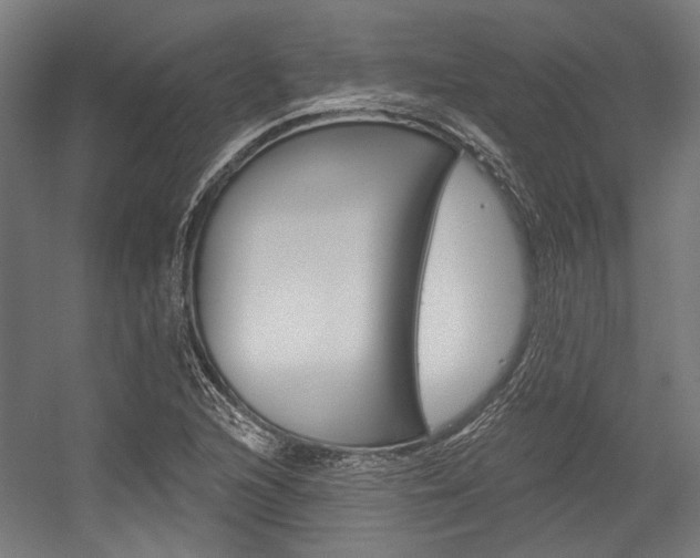 X0000054361216200507290756