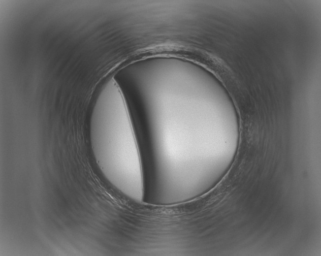 X0000054361217200507290756