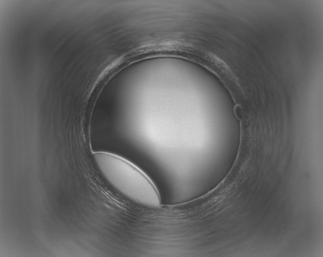 X0000054361218200507290756