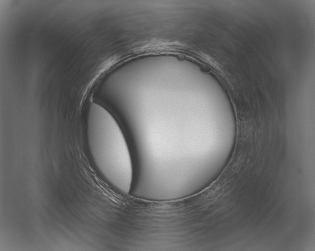 X0000054361219200507290756