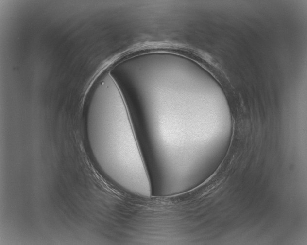 X0000054361221200507290756