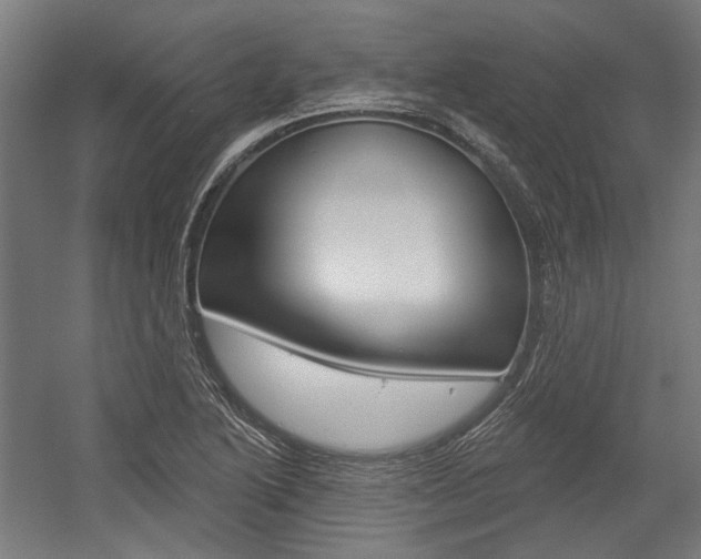 X0000054361222200507290756
