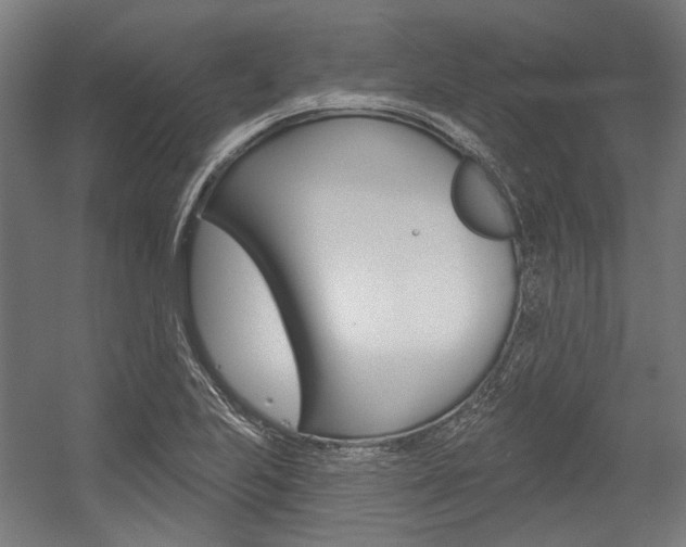 X0000054361223200507290756