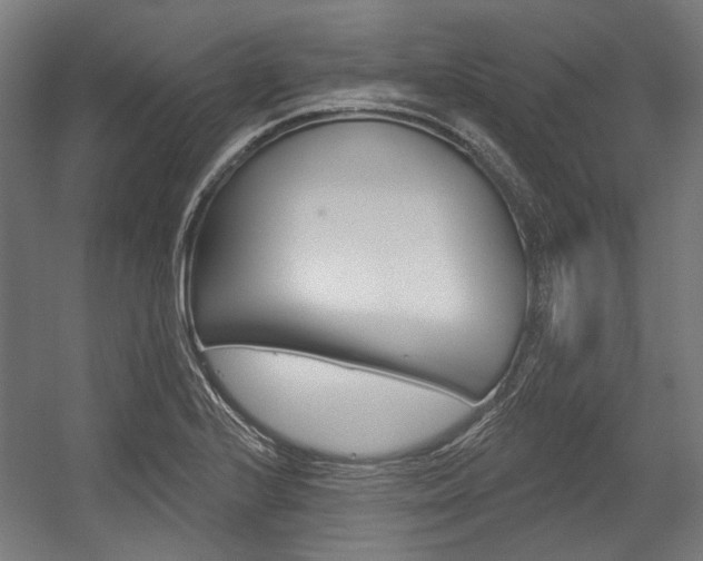 X0000054361224200507290756