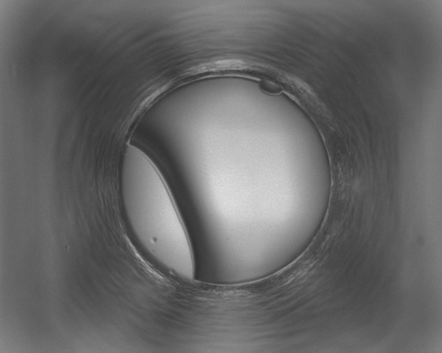 X0000054361225200507290756