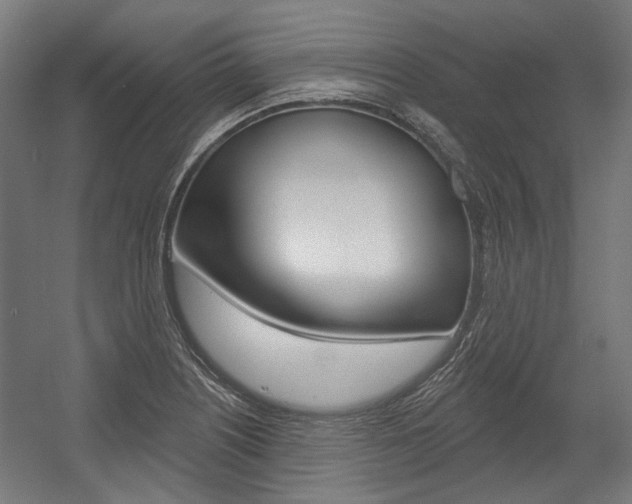 X0000054361226200507290756