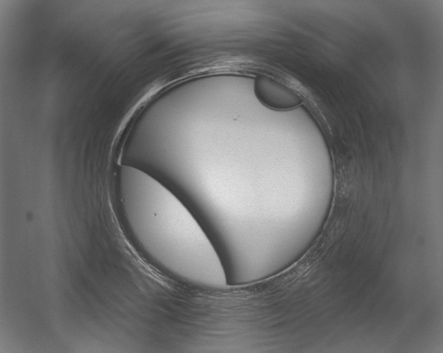 X0000054361227200507290756
