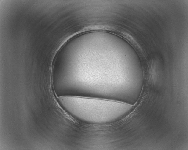 X0000054361228200507290756