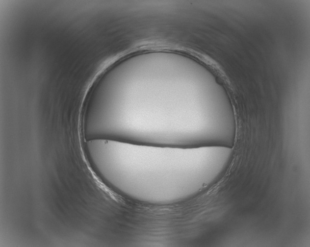 X0000054361231200507290756