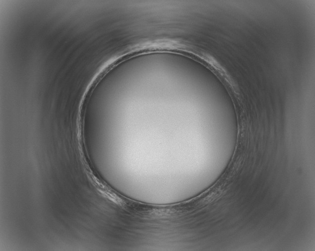 X0000054361232200507290756