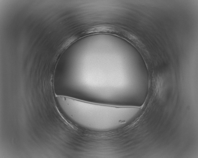 X0000054361233200507290756