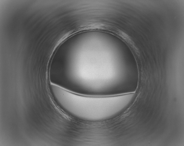 X0000054361234200507290756