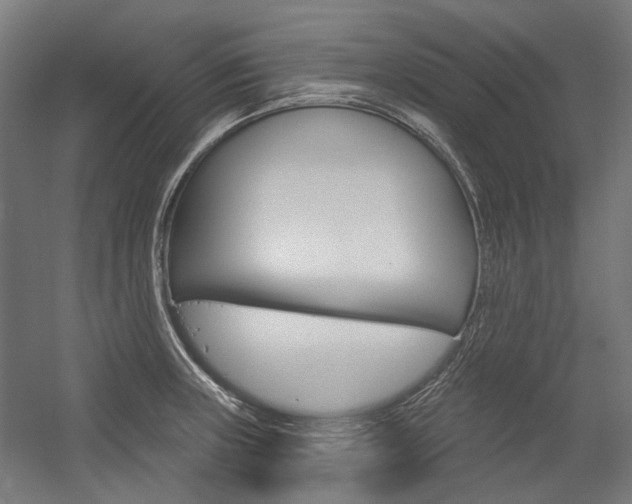 X0000054361235200507290756