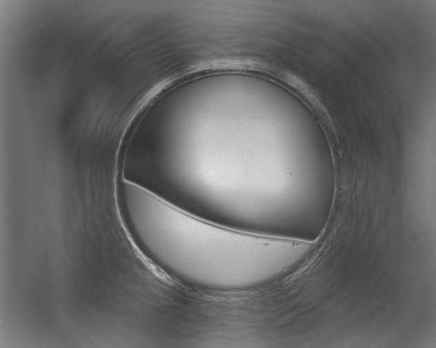 X0000054361237200507290756