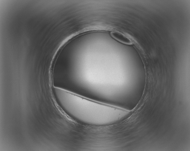 X0000054361238200507290756