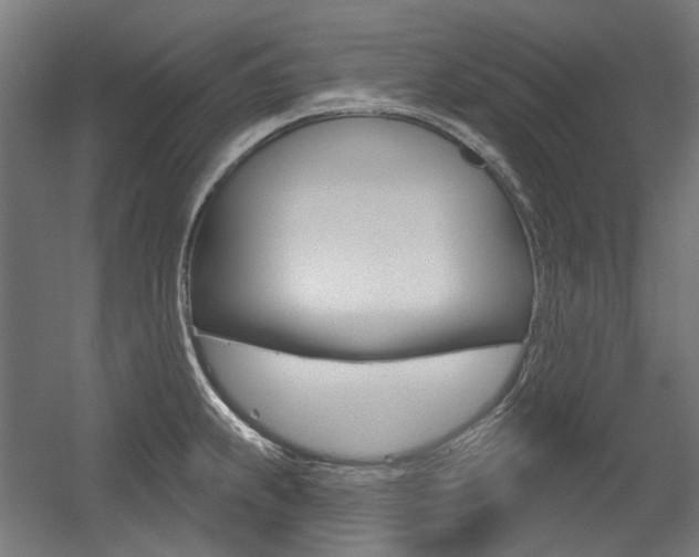 X0000054361239200507290756