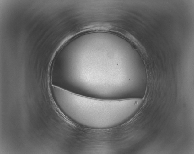 X0000054361240200507290756