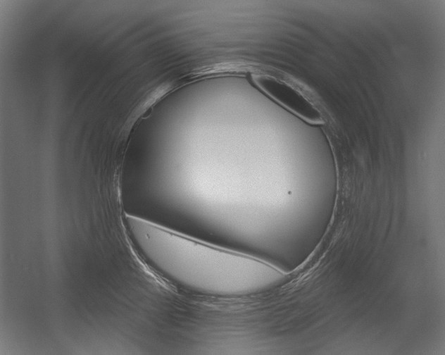 X0000054361241200507290756