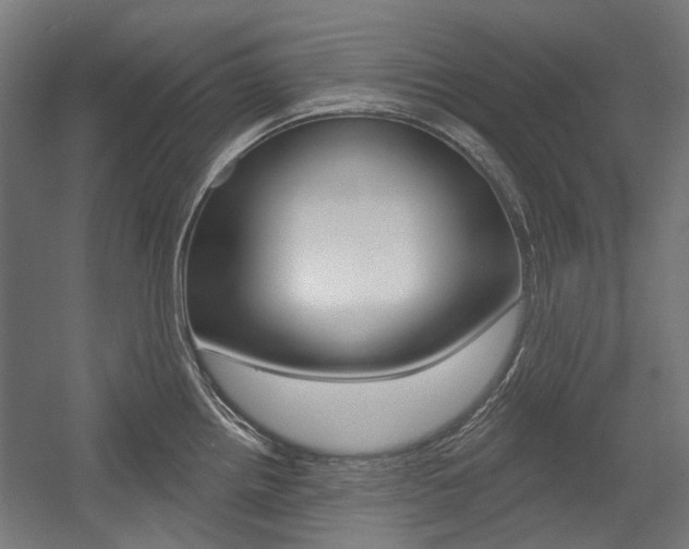 X0000054361242200507290756