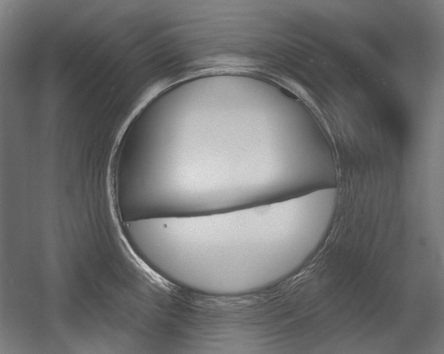 X0000054361243200507290756