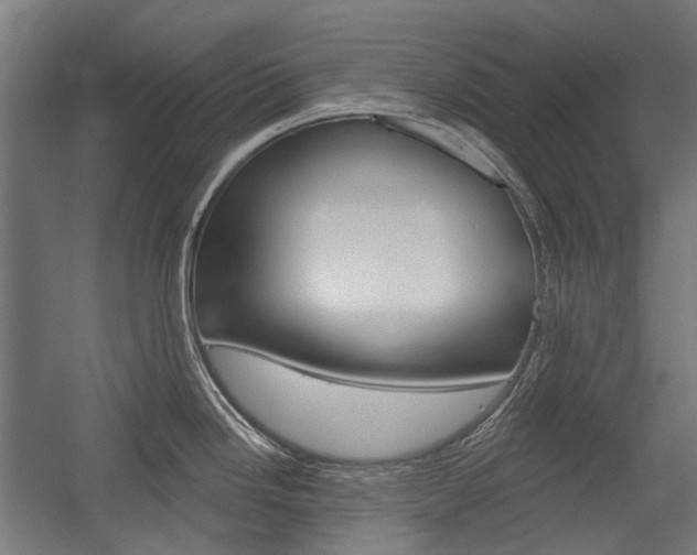 X0000054361246200507290756