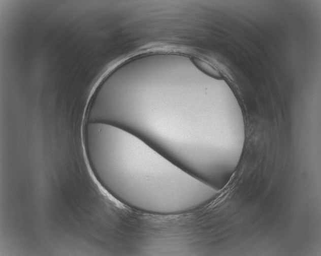 X0000054361247200507290756