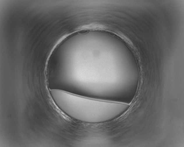 X0000054361248200507290757