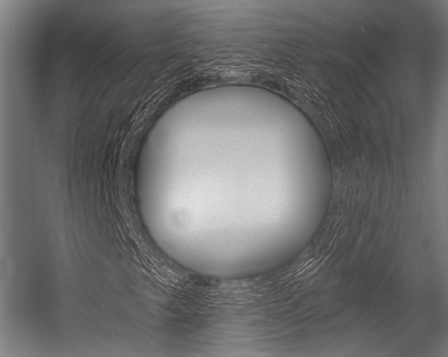 X0000054361249200507290756