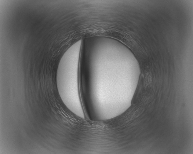X0000054361250200507290756