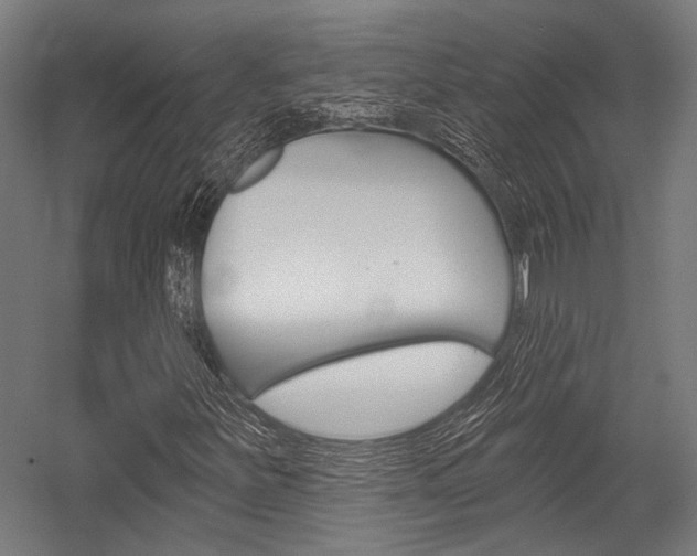X0000054361251200507290756
